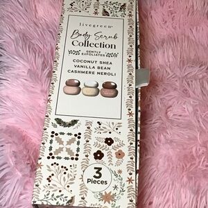 New Body Scrub Collection - Coconut Shea, Vanilla Bean, Cashmere Neroli